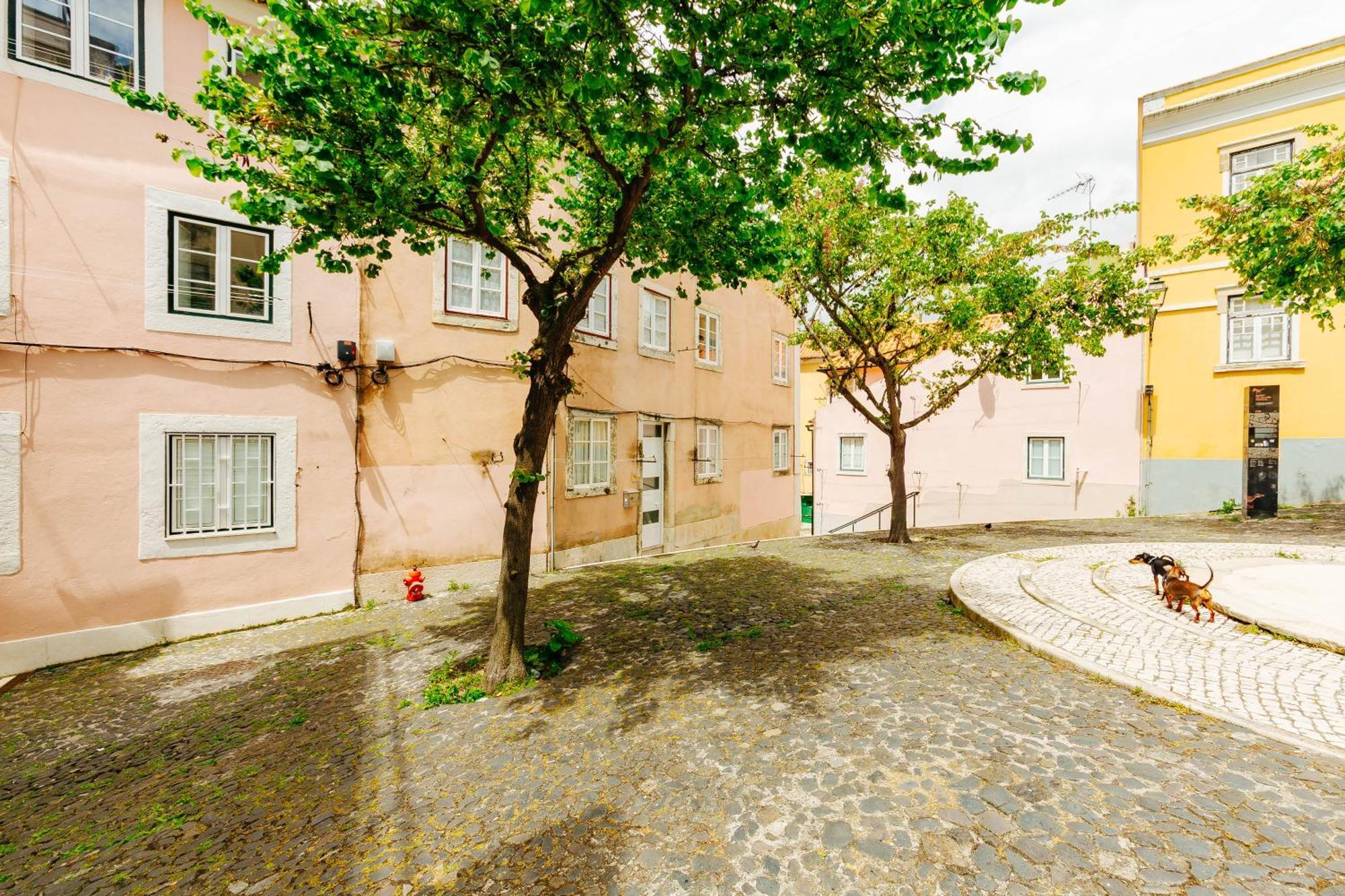 Rent4Rest Lisbon Downtown Tiny Studio Apartments Exterior foto
